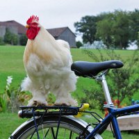 Sarling Boerderij Kerndler 4